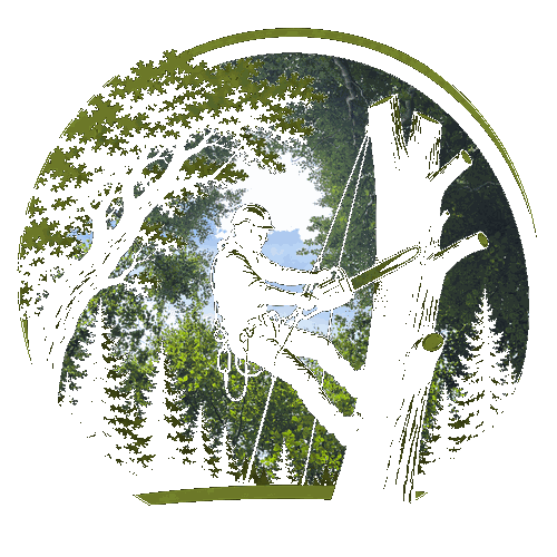 Furbo Topkap logo